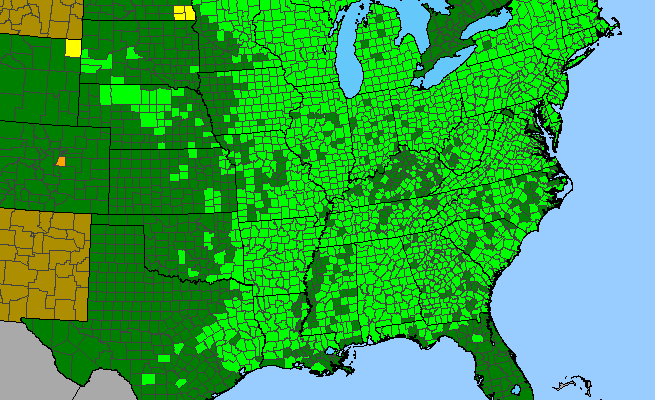 The range of Onoclea sensibilis